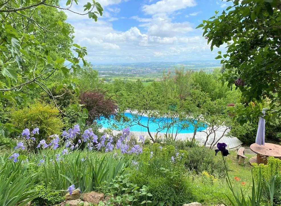 Les Hauts De Jeanvert - Le Cedre - Piscine - Gaillac 0*,  Francja