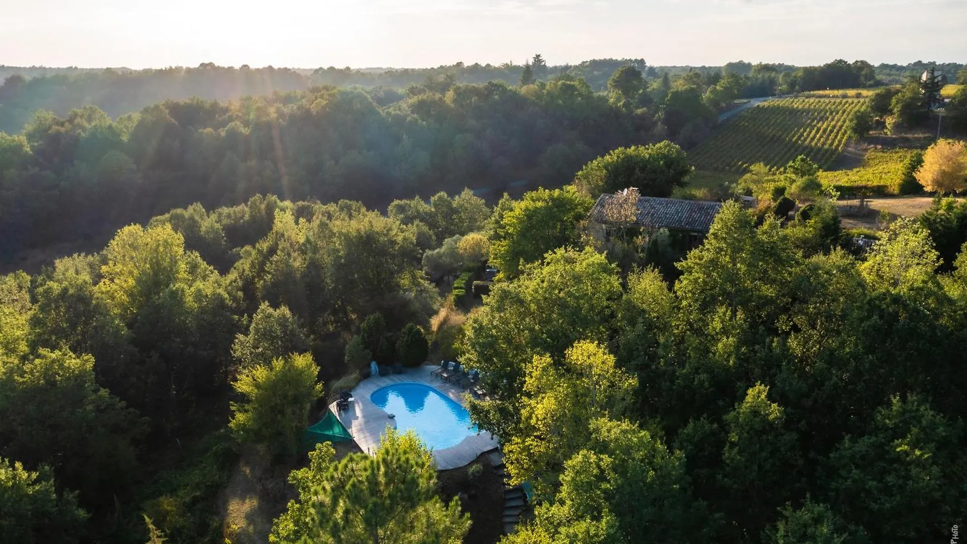 Dom wakacyjny Les Hauts De Jeanvert - Le Cedre - Piscine - Gaillac